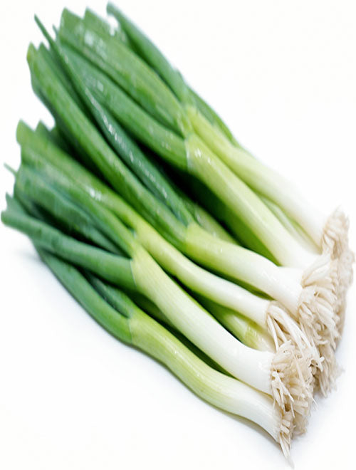 Bunching Onion
