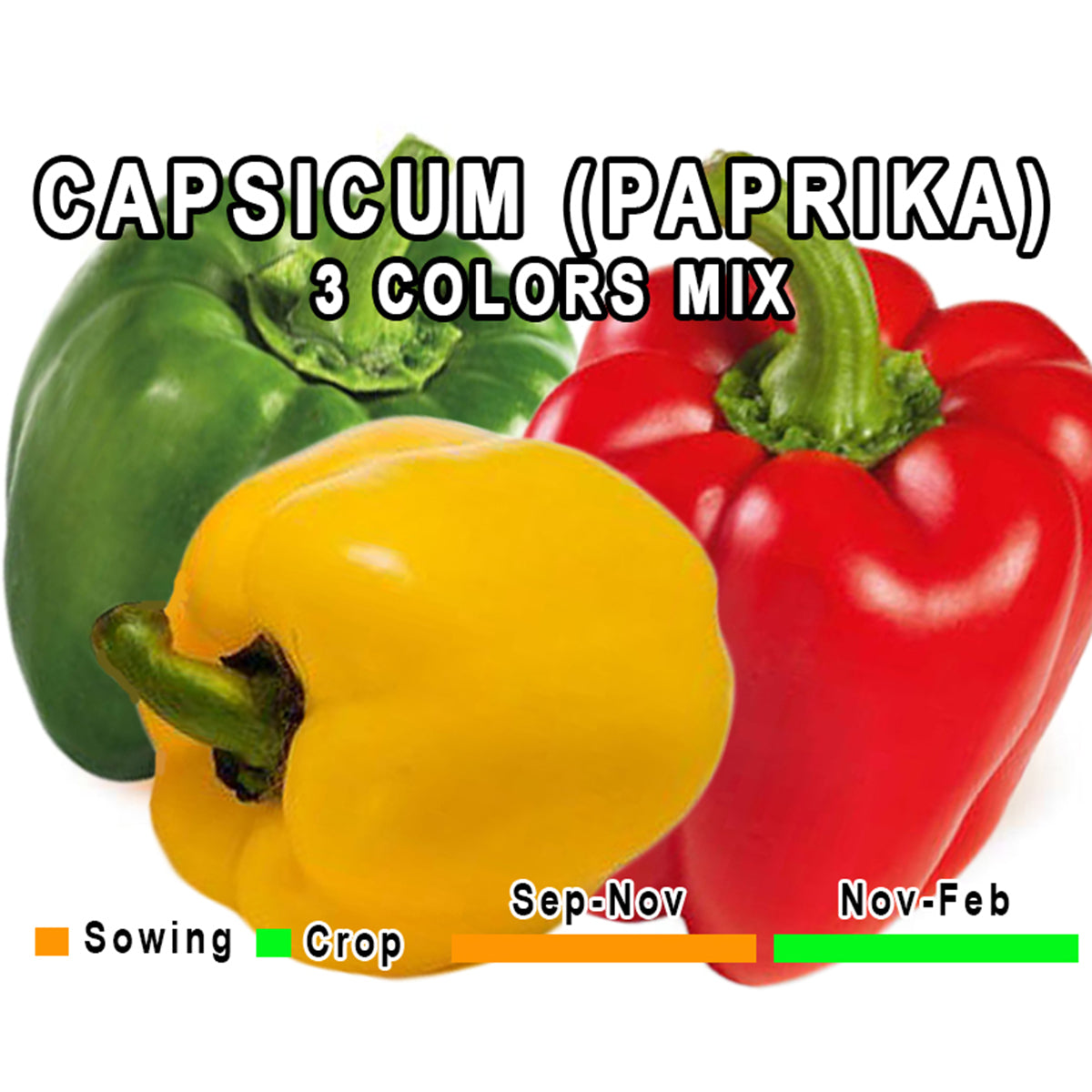 Paprika/Capsicum (Bell Pepper) – Green Galaxy PK