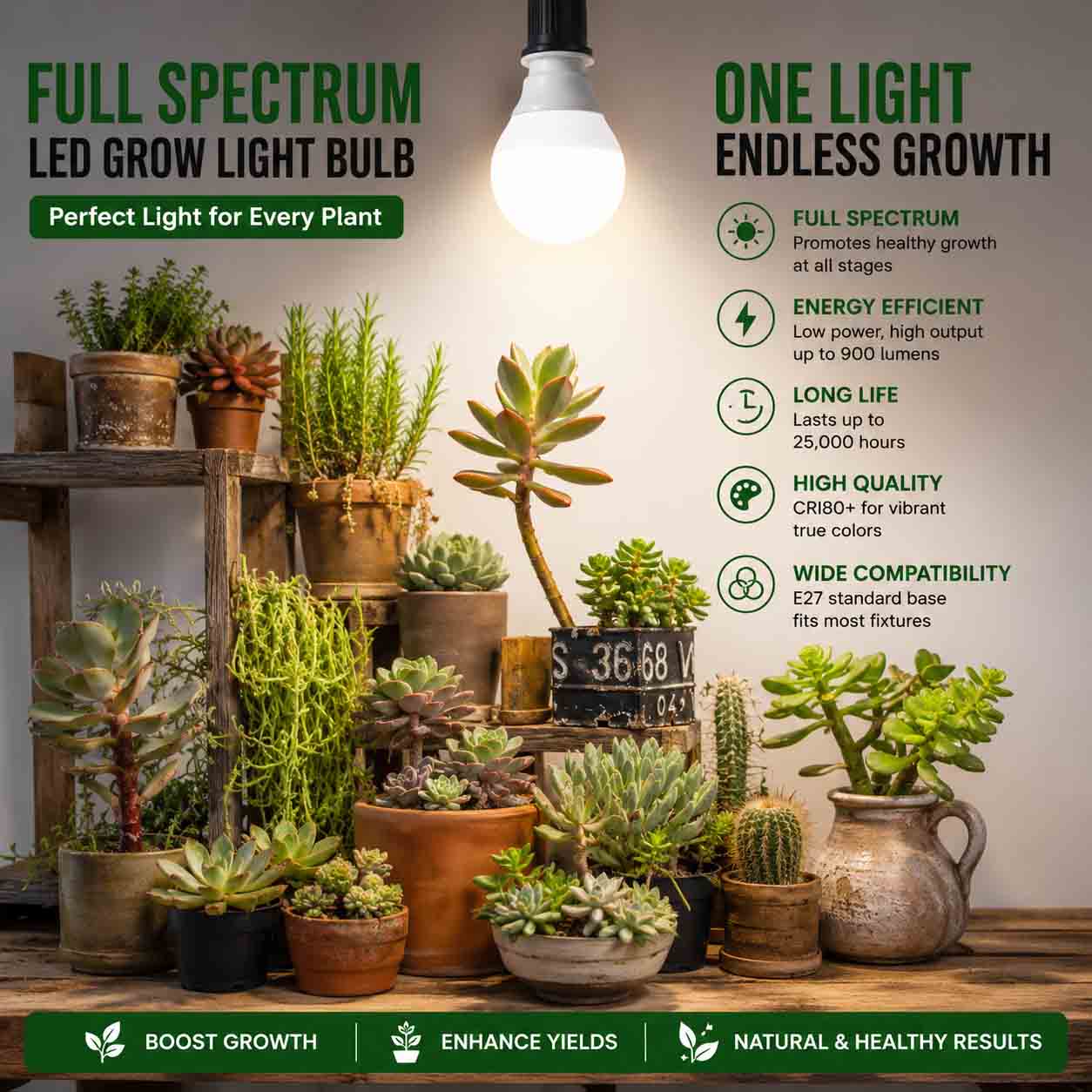 Full Spectrum E27 LED Grow Light Bulb in Lahore | Best Indoor Plant Lighting