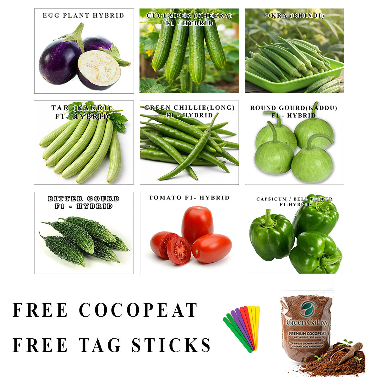 Kitchen Gardening Summer Deal