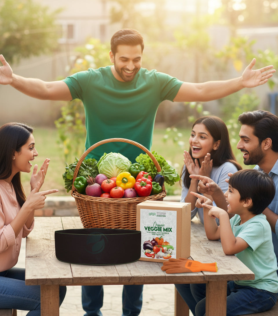 Kitchen Gardening Kit Deal 2