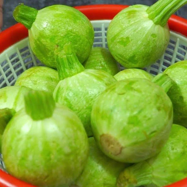 Summer Squash Desi (Chapan Kaddu)