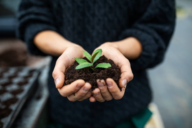 Best Fertilizers for Plants in Pakistan — Complete Guide | Green Galaxy