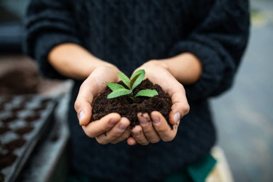 Best Fertilizers for Plants in Pakistan — Complete Guide | Green Galaxy