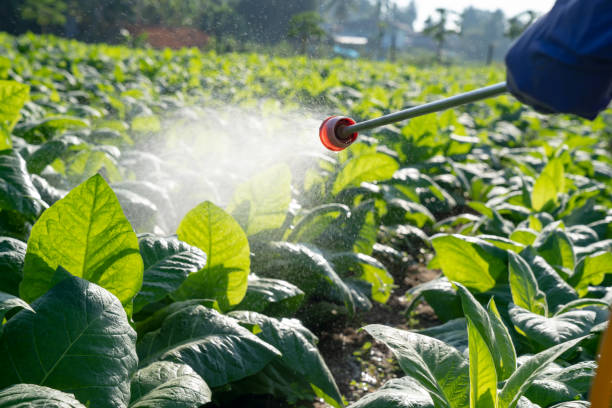 How to Control Garden Pests in Pakistan — Complete Guide | Green Galaxy