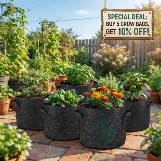 Buy Deal of 5 Grow Bags 15" x 13"(10 Gallon) Get 10% Off | Best Plant Bags Online in Pakistan