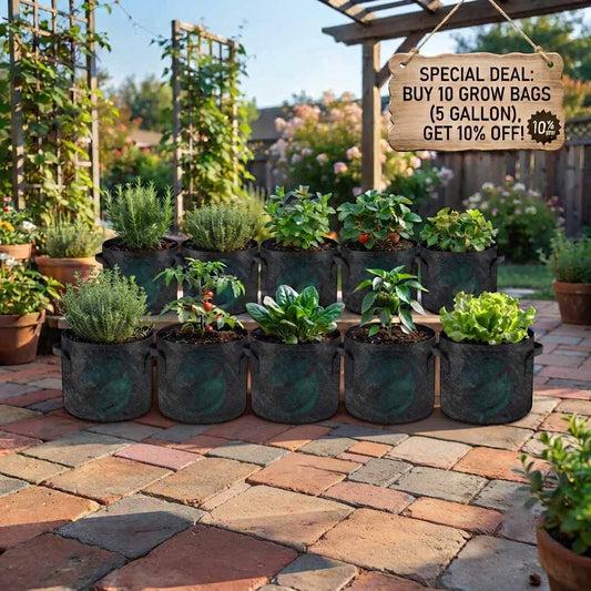 Buy Deal of 10 Grow Bags (5 Gallon, 10"x11") Get 10% OFF | Best Fabric Plant Pots in Pakistan