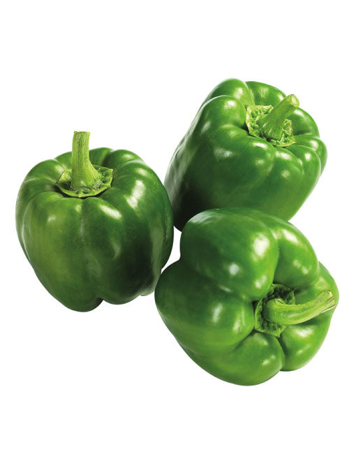 Capsicum (Bell Pepper)