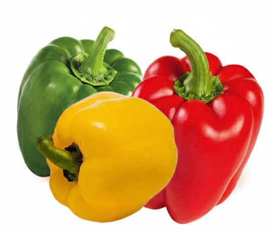 Paprika/Capsicum (Bell Pepper) Hybrid