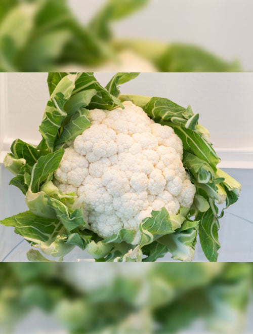 Cauliflower F-1 Hybrid White Castle