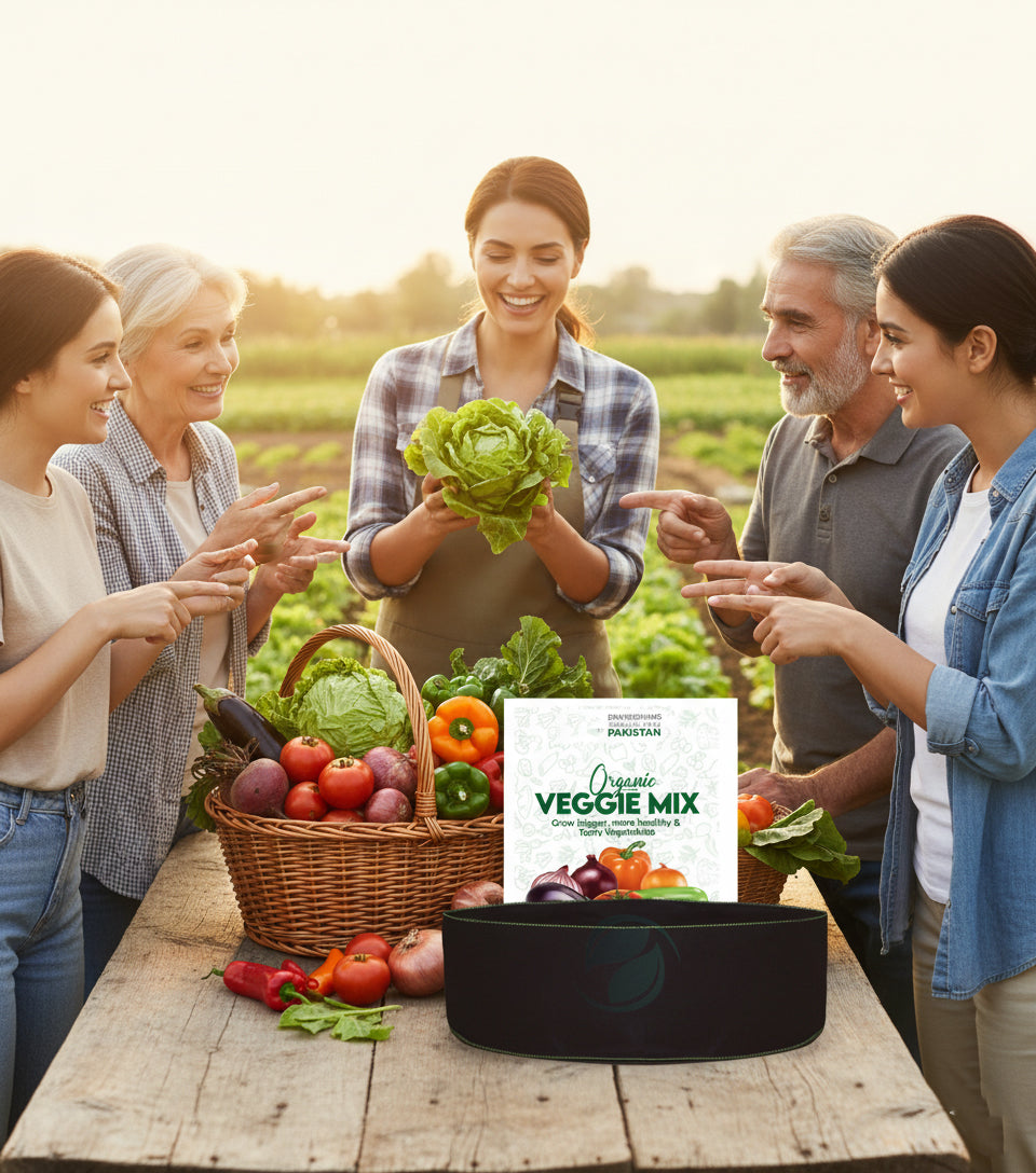 Kitchen Gardening Kit Deal 1