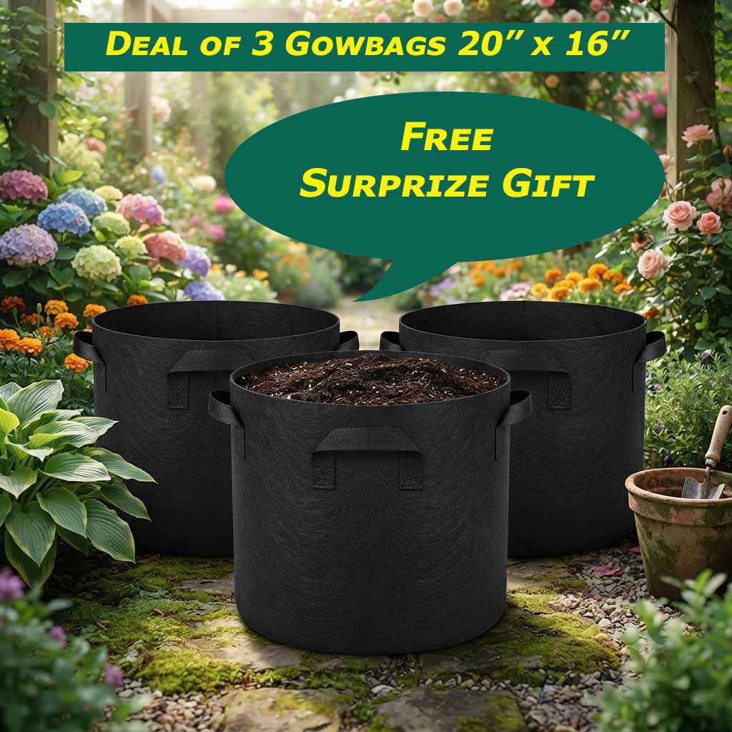 Buy 3 Grow Bags (20"x16") 20-Gallon + Free Surprise Gift | Heavy-Duty Fabric Pots for Plants