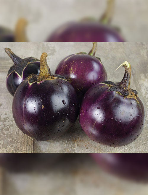 Eggplant Round F-1