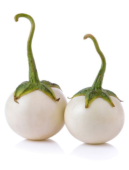 Eggplant Round F-1