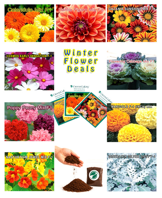 Flower Seeds Deal 2