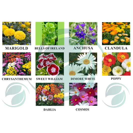 Free Flower Seeds