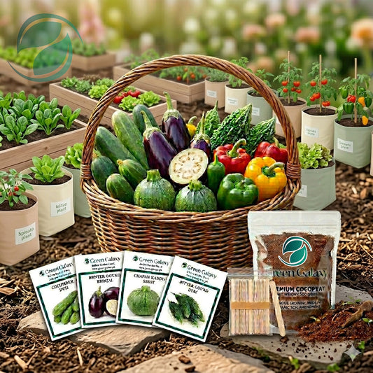 Kitchen Gardening Summer Deal