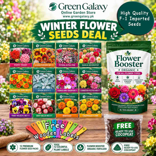 Winter Flower Seeds Deal – F1 Hybrid Imported Seeds + 100% Organic Flower Fertilizer + Free Cocopeat & Wooden Labels