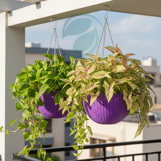 Stylish Flexble Plastic Hanging Baskets /Planter Set of 2 with Stainless Steel Chain
