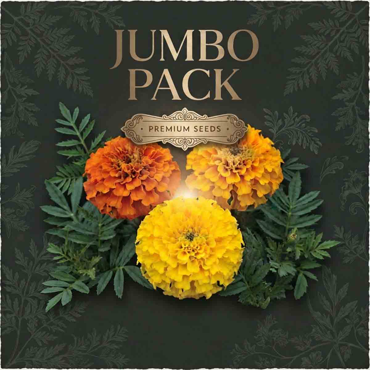 Marigold F1 Hybrid Seeds (Bulk Quantity / Jumbo Packs) | Premium Garden Blooms