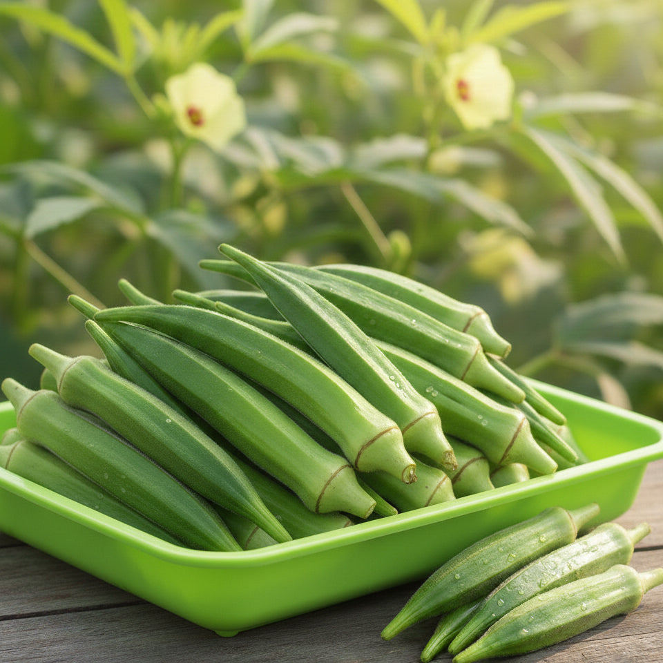 Okra-Ladyfinger (Bhindi)