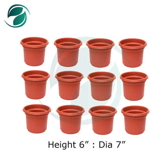 Plastic Pot Small Size Deal of 12