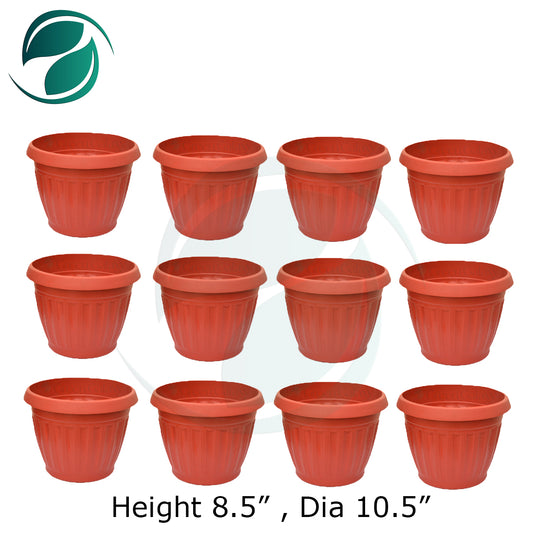 Plastic Pot Large Size Deal of 12