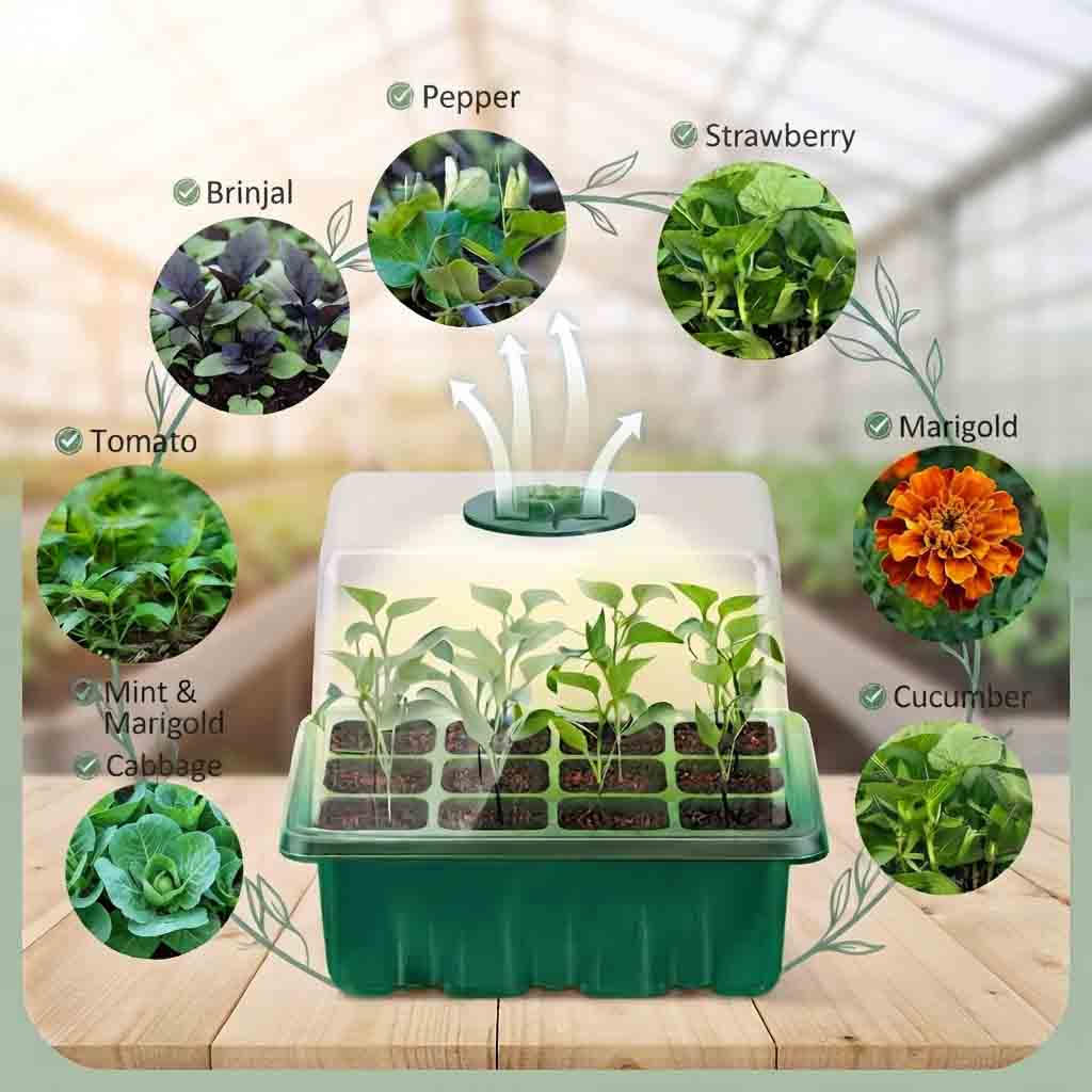 Seed Starter Tray with Lid / Humidity Dome (12 Cells) | Best Seed Germination Kit in Lahore