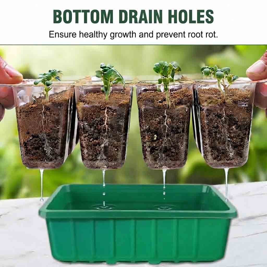 Seed Starter Tray with Lid / Humidity Dome (12 Cells) | Best Seed Germination Kit in Lahore