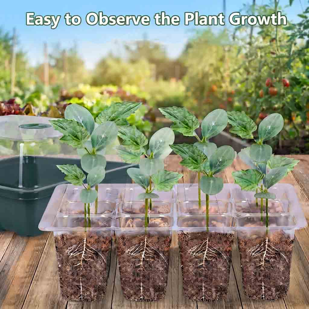 Seed Starter Tray with Lid / Humidity Dome (12 Cells) | Best Seed Germination Kit in Lahore