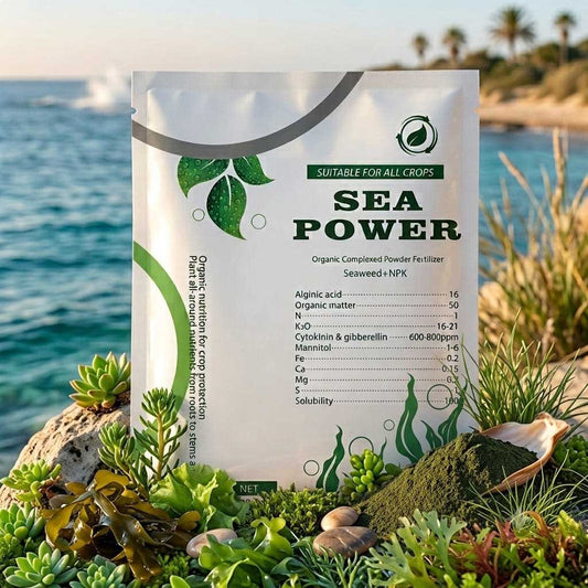 100% Organic Seaweed Extract Powder Fertilizer | Sea Power Bio-Stimulant for Plants | Natural NPK Growth Booster Pakistan