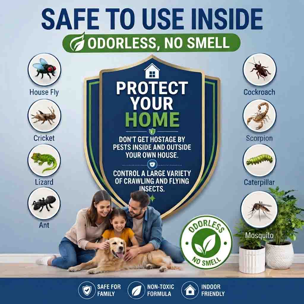 Spark 30%WP Lambda-Cyhalothrin Household Insect Control | Odorless & No Smell | Best Insect Killer in Lahore