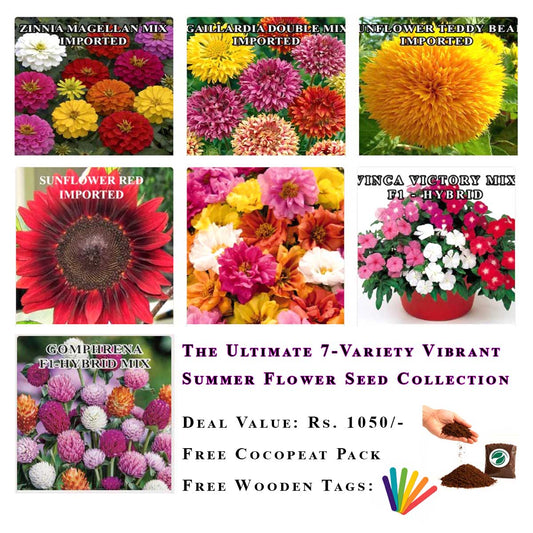 Bloom All Season: Brighten Your Home: 7-in-1 Premium F1 Hybrid Summer Flower Seed Deal