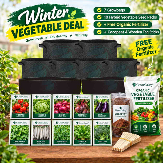 Complete Kitchen Gardening Kit in Pakistan | Buy Online with Free Organic Vegetable Fertilizer