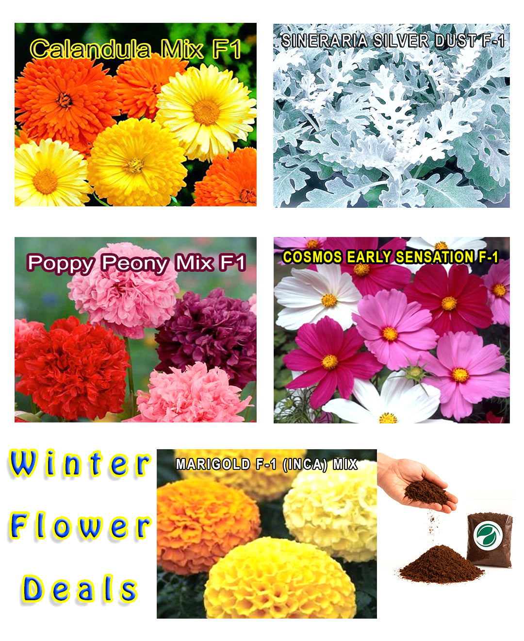 Flower Seeds Deal 1