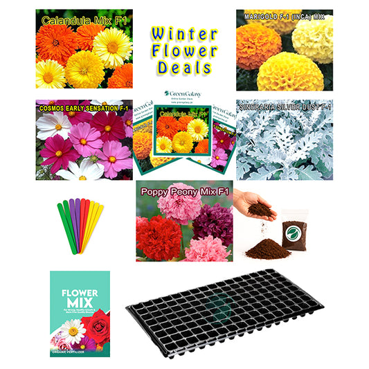 Flower Seeds Kit Deal 3