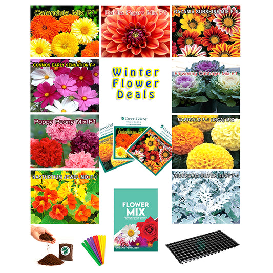 Flower Seeds Kit Deal 4