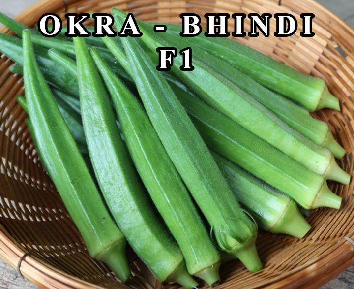 Okra-Ladyfinger (Bhindi)