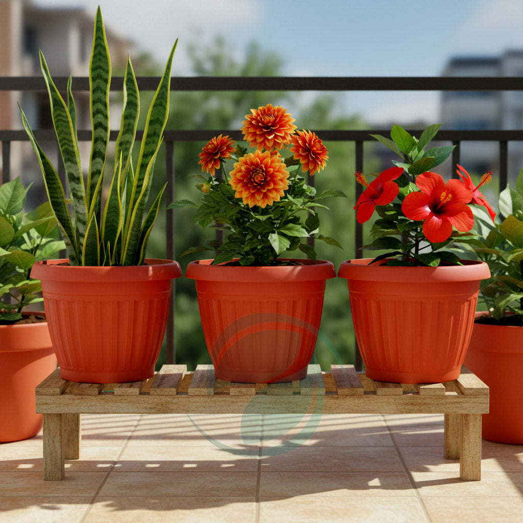 High Quality Plastic Pots – Pack of 3 | Durable & Stylish Plant Pots (Discount Deal)