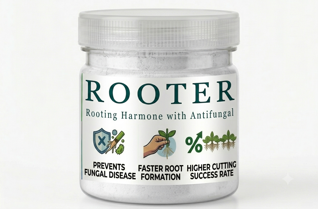 Best Rooting Hormone Powder in Lahore & Pakistan | Fast Root Growth ...