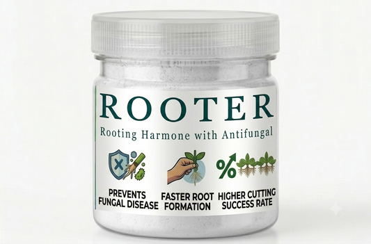 Professional rooting hormone powder for fast root growth and plant propagation in Lahore Pakistan