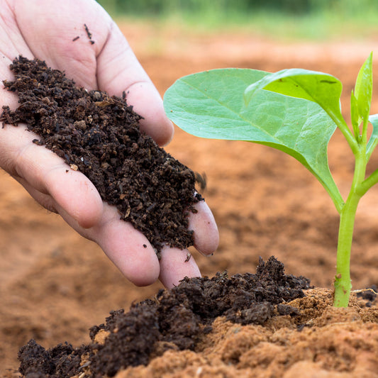 VERMICOMPOST 1 - 5 KG